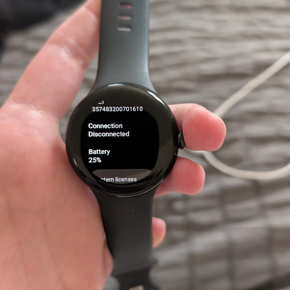 Google Pixel Watch LTE